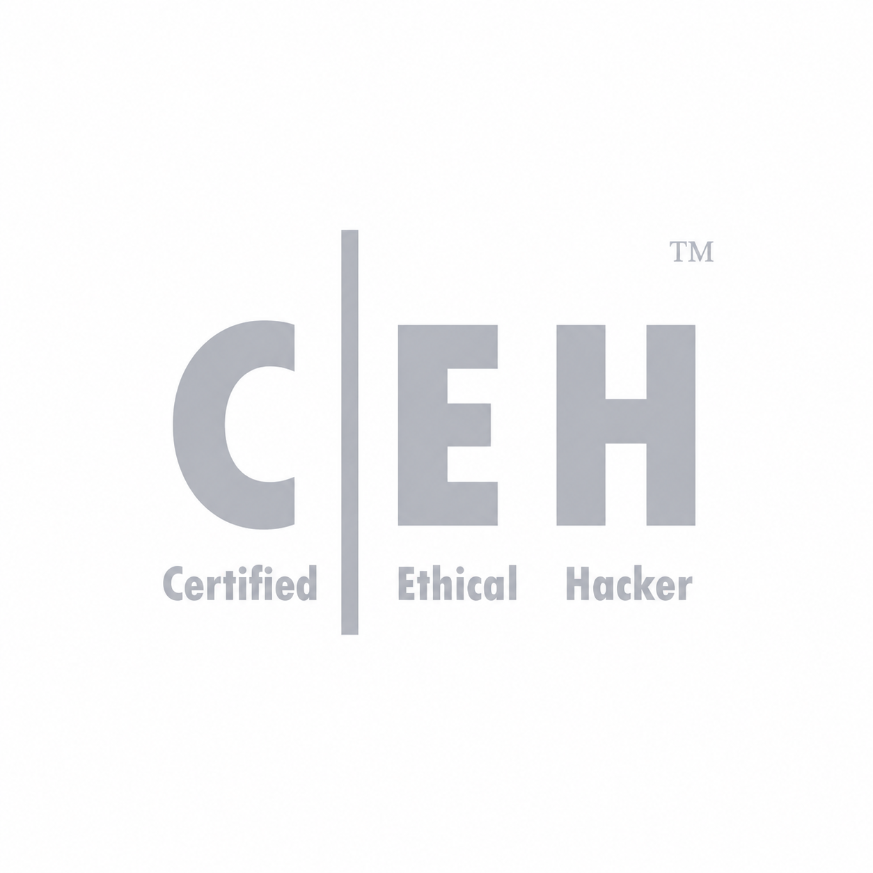 Client Logo 4